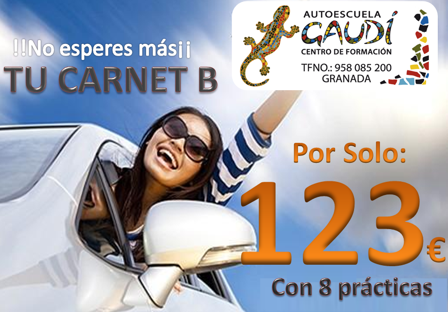 autoescuela-gaudi-123€.png